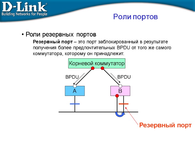 Роли резервных портов Резервный порт – это порт заблокированный в результате получения более предпочтительных